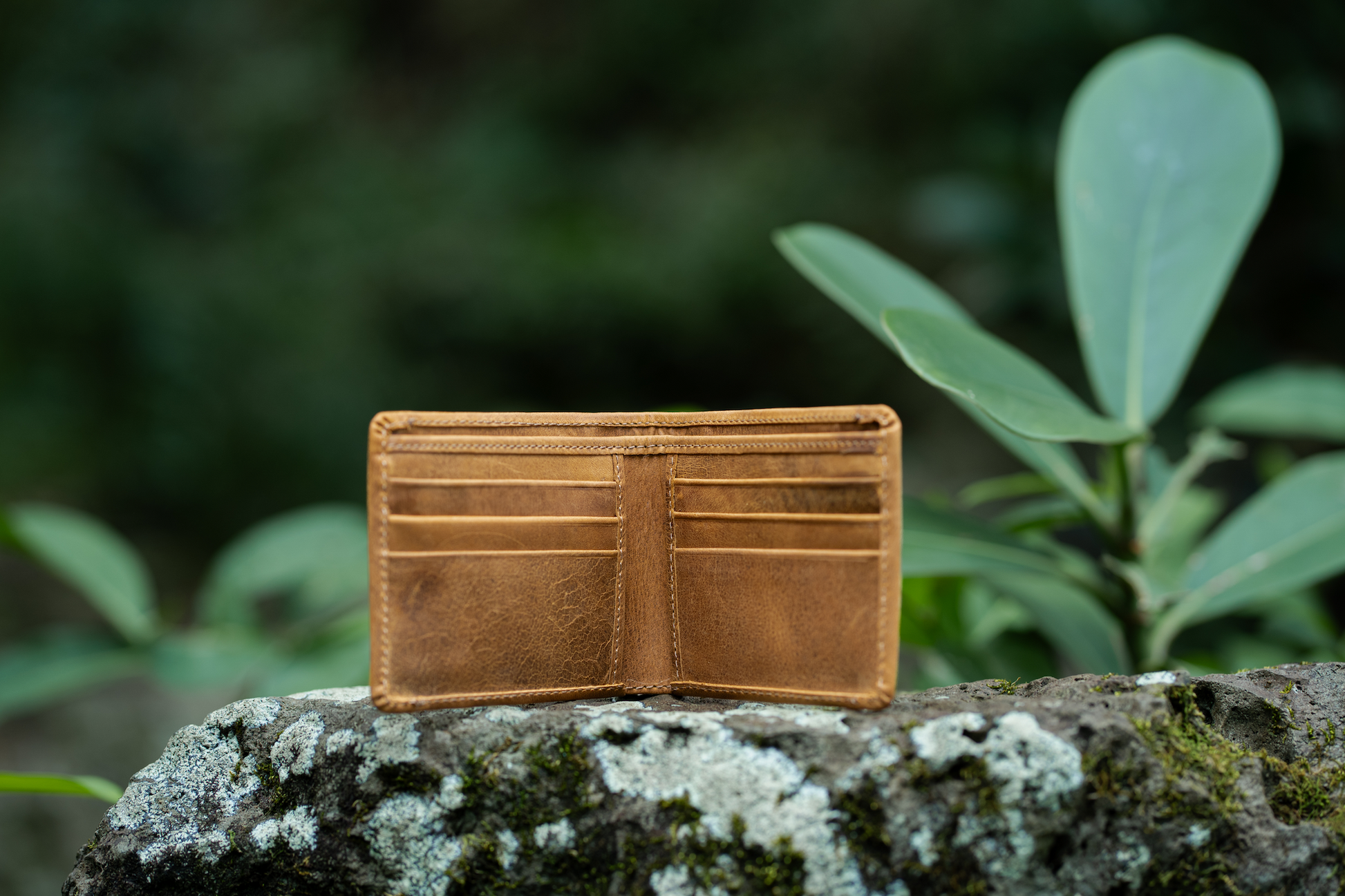 Kailua Bifold – Rōmfrē Travel Co. Kailua Bifold – Rōmfrē Travel Co.