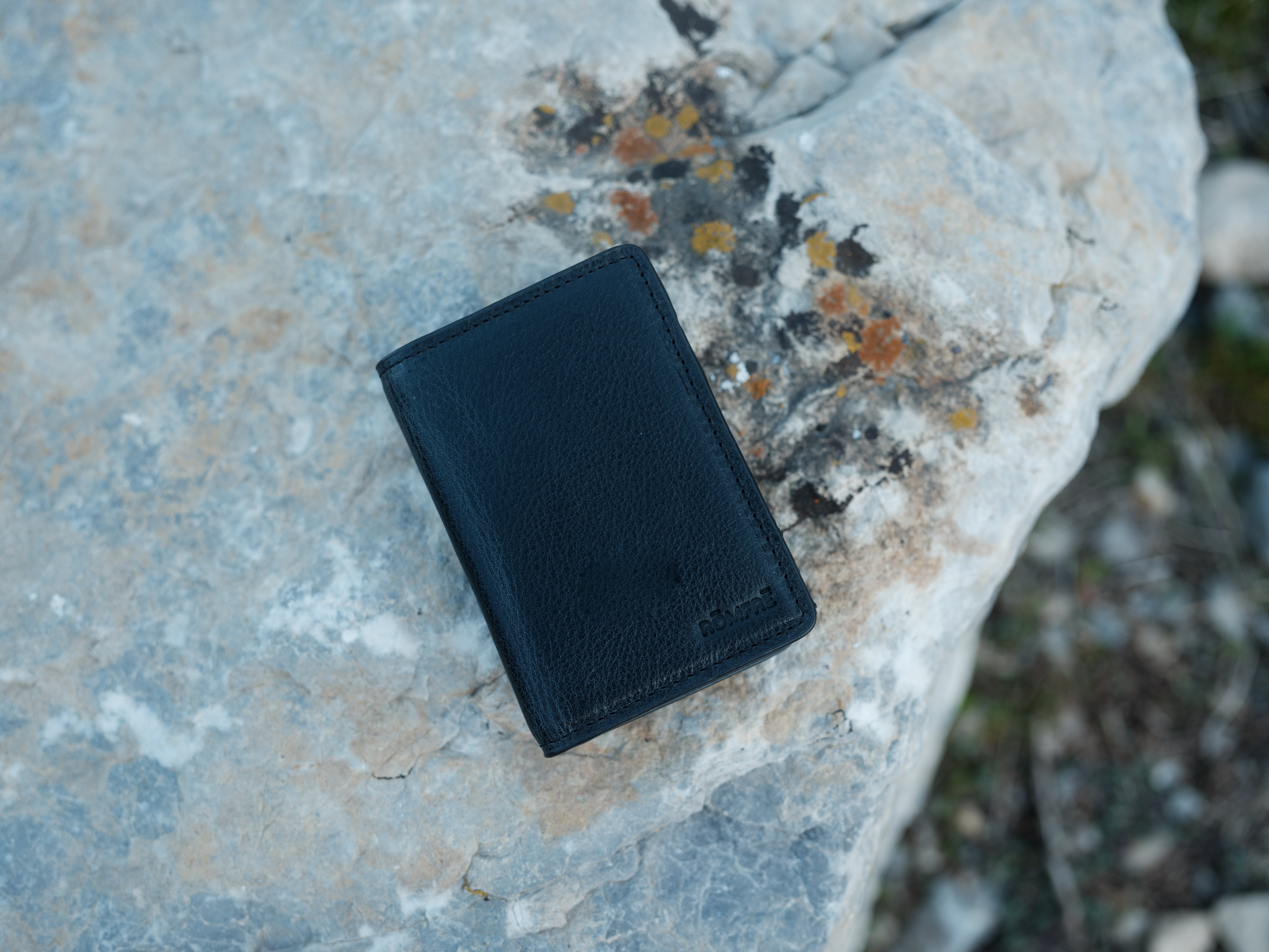 🎁 Lanikai Cardholder Wallet (100% off)